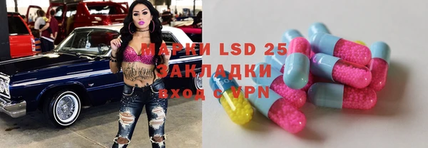 ПСИЛОЦИБИНОВЫЕ ГРИБЫ Аркадак