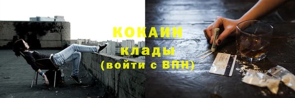 ПСИЛОЦИБИНОВЫЕ ГРИБЫ Аркадак