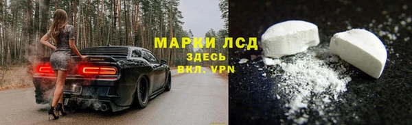 ПСИЛОЦИБИНОВЫЕ ГРИБЫ Аркадак
