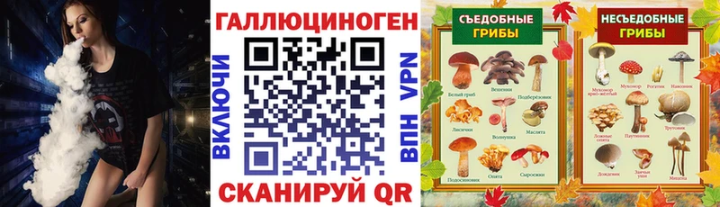 Галлюциногенные грибы мицелий  где можно купить   Тюкалинск 